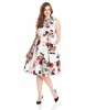 Adrianna Papell Plus-Size Rose Print Classic Pleat Fit and Flare Cotton Dress For Women